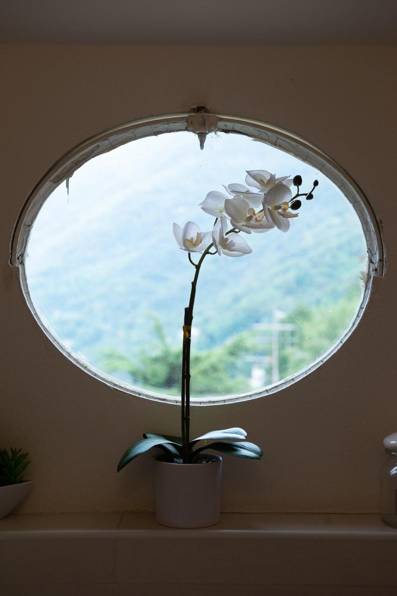 Appartamento "Bella Vista" Sul Lago Di Como Faggeto Lario Exterior foto